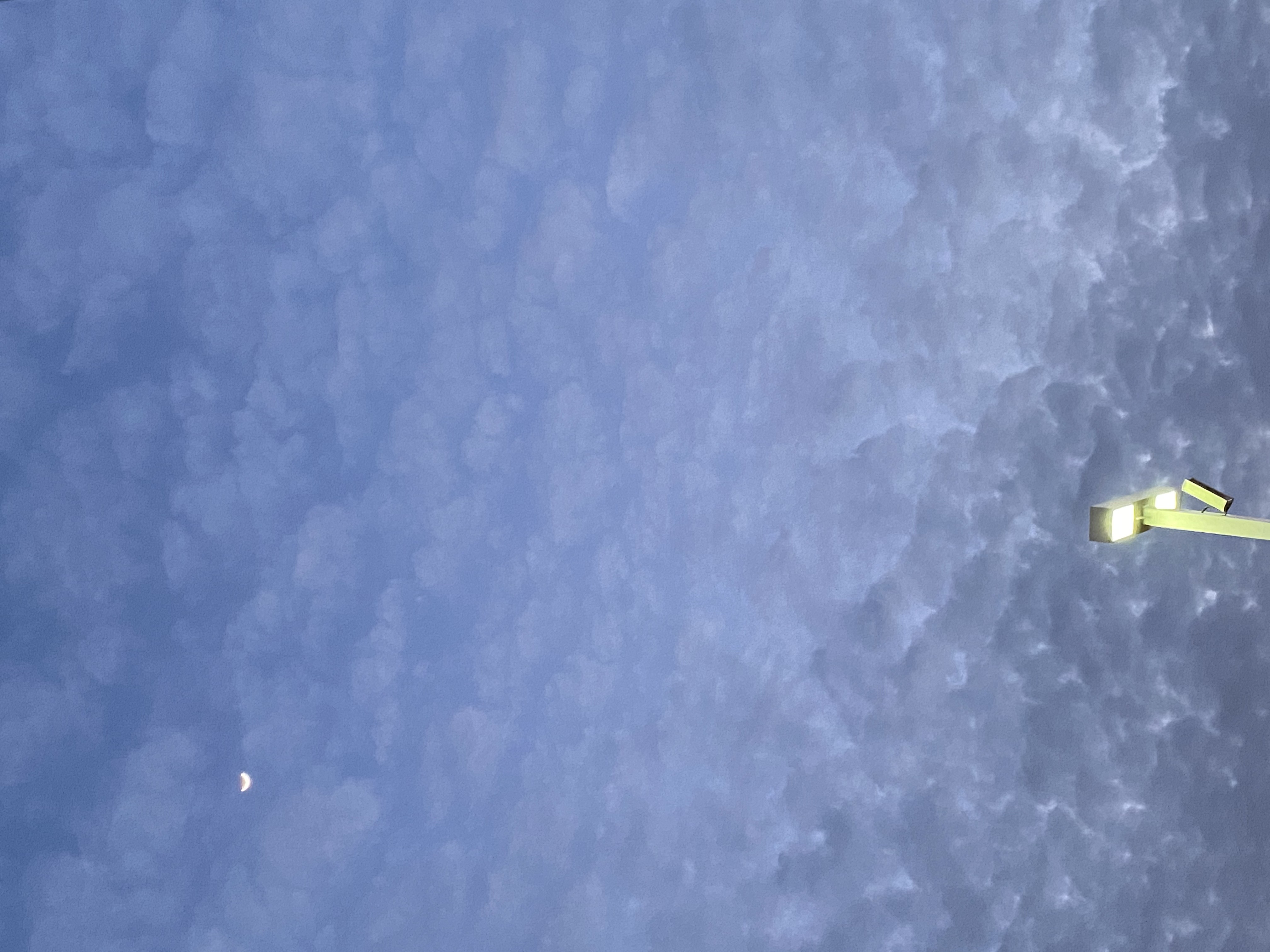 21_배지호_달이 넘어지면 (알콩)달콩.jpg 첨부 이미지