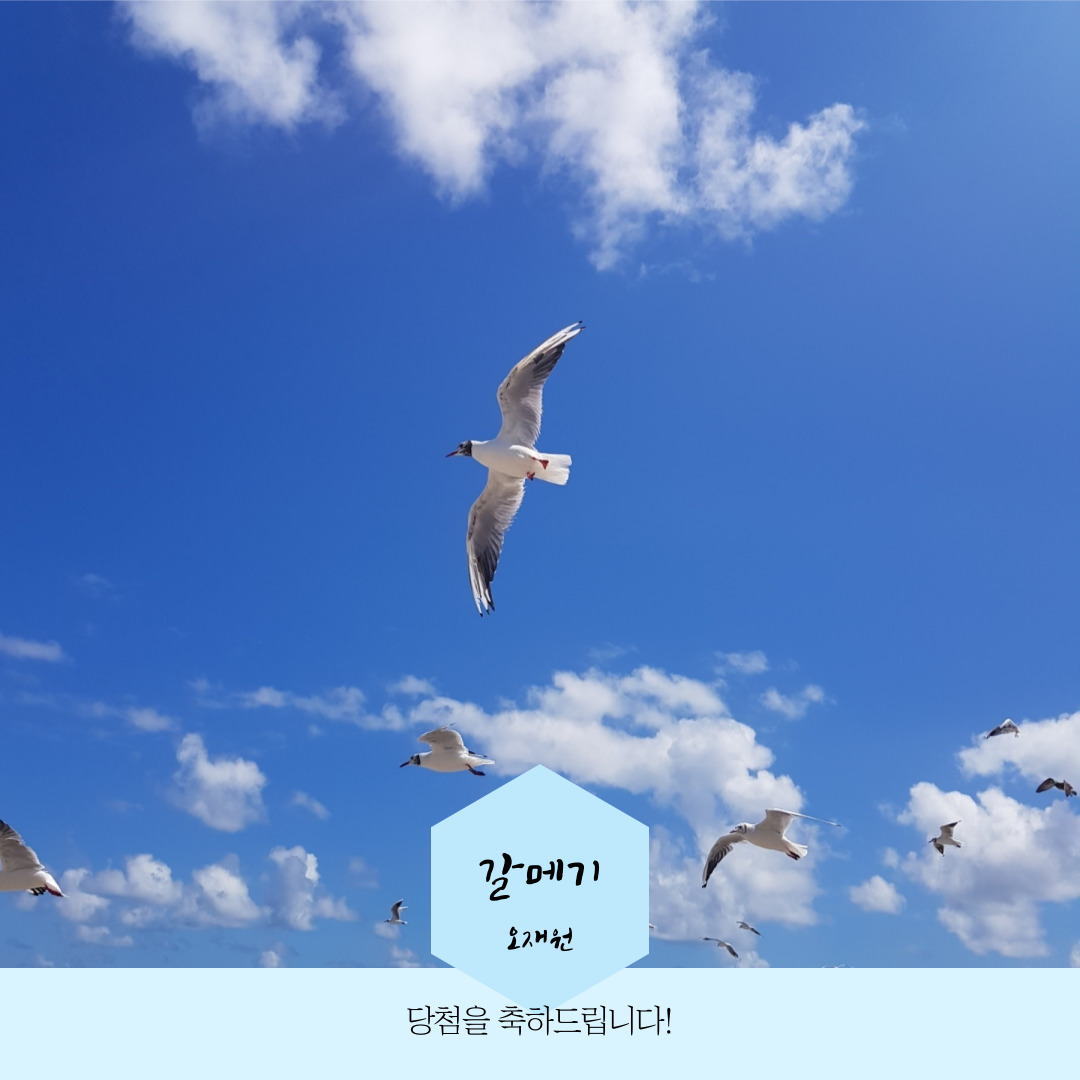 KakaoTalk_20210325_225355500_06.jpg 첨부 이미지