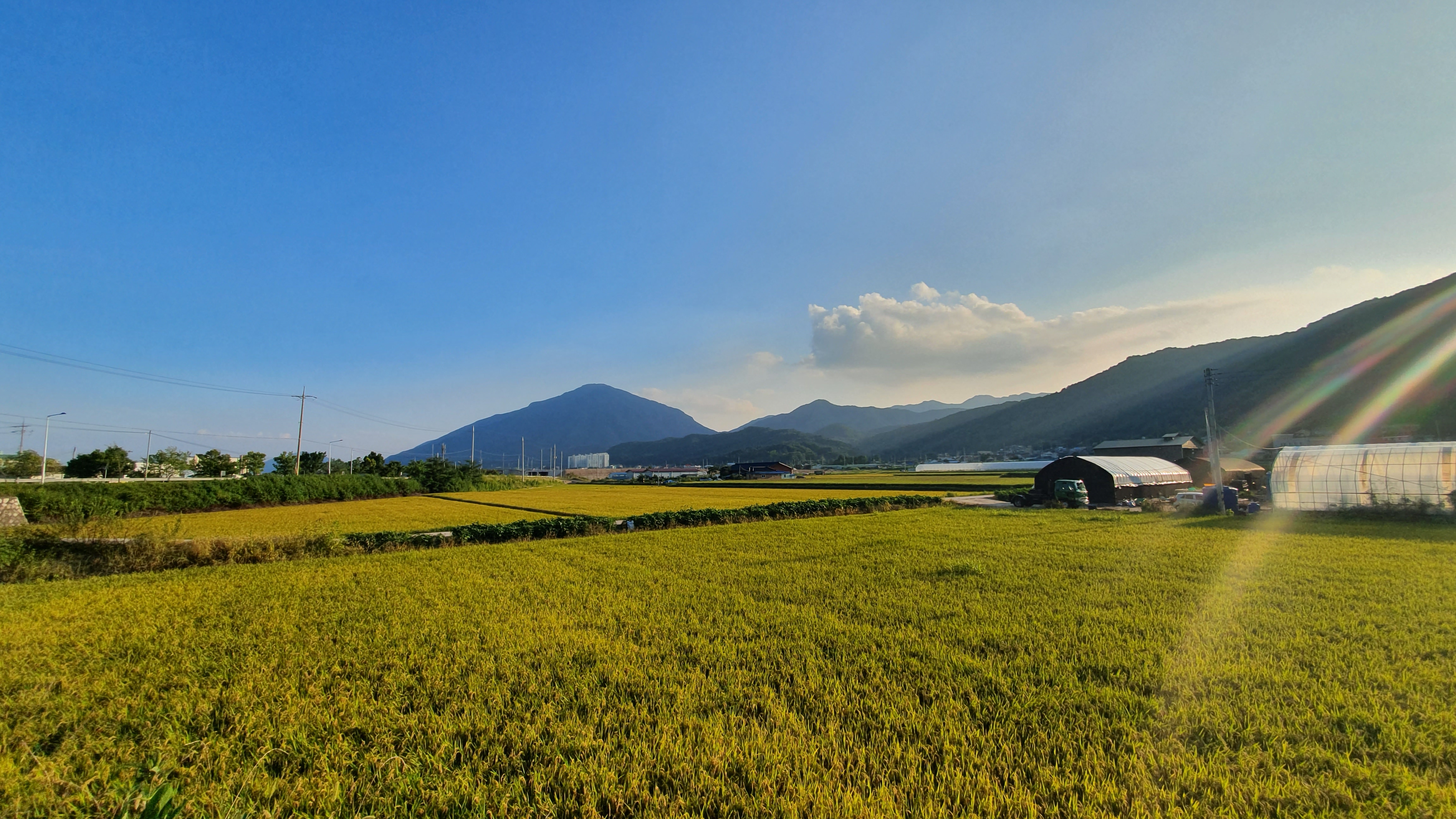 19_홍은경_천고마비의 계절.jpg 첨부 이미지
